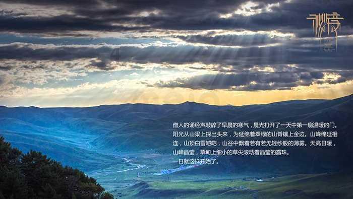 解决问题,尽在如果给你一千万和一把菜刀,你会愿意和一只东北虎较量吗?